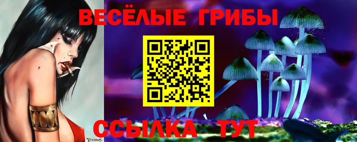 Урус-Мартан  Псилоцибиновые грибы Psilocybe  Вход с VPN  Псилоцибиновые грибы Cubensis 